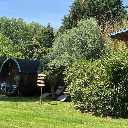La Bastide De Negra Bed & Breakfast Montesquieu-Lauragais Dış mekan fotoğraf