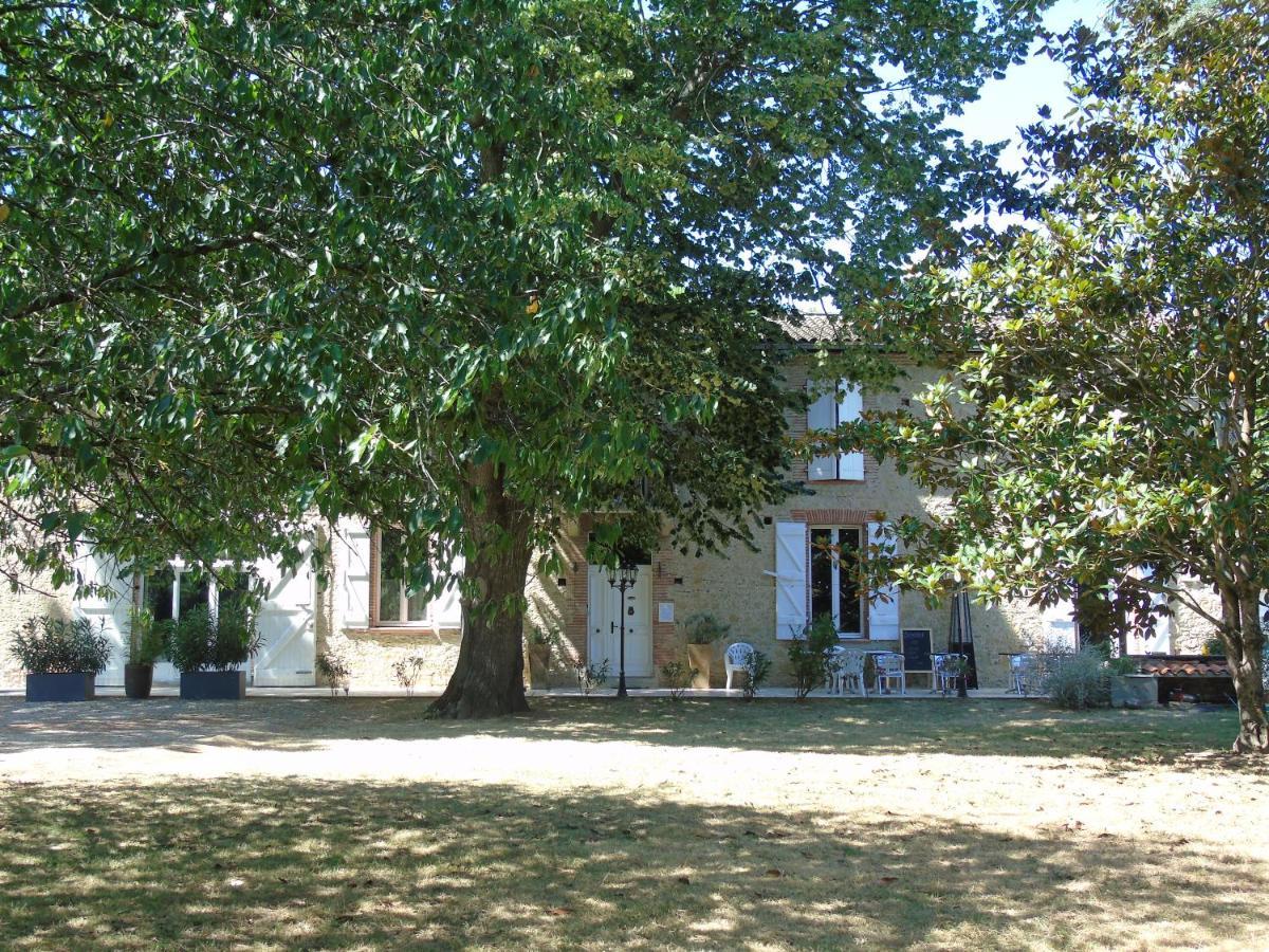 La Bastide De Negra Bed & Breakfast Montesquieu-Lauragais Dış mekan fotoğraf