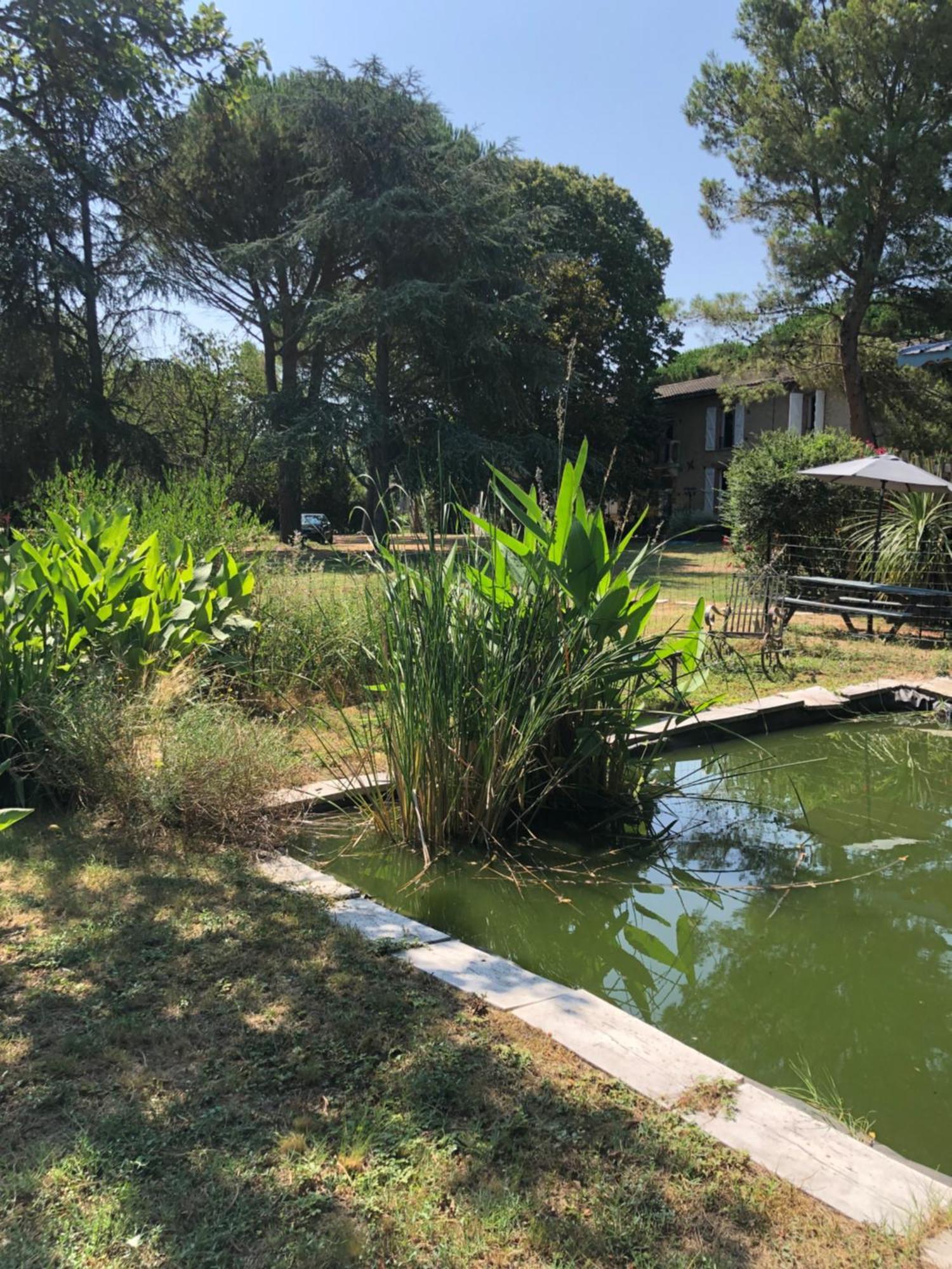 La Bastide De Negra Bed & Breakfast Montesquieu-Lauragais Dış mekan fotoğraf