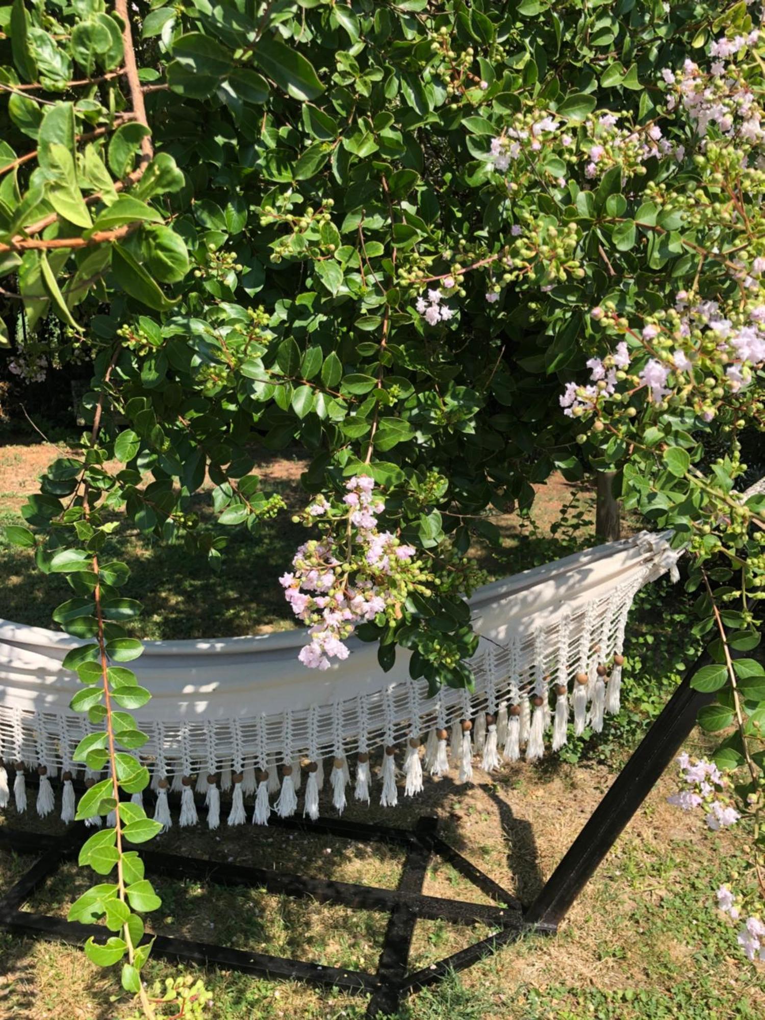 La Bastide De Negra Bed & Breakfast Montesquieu-Lauragais Dış mekan fotoğraf