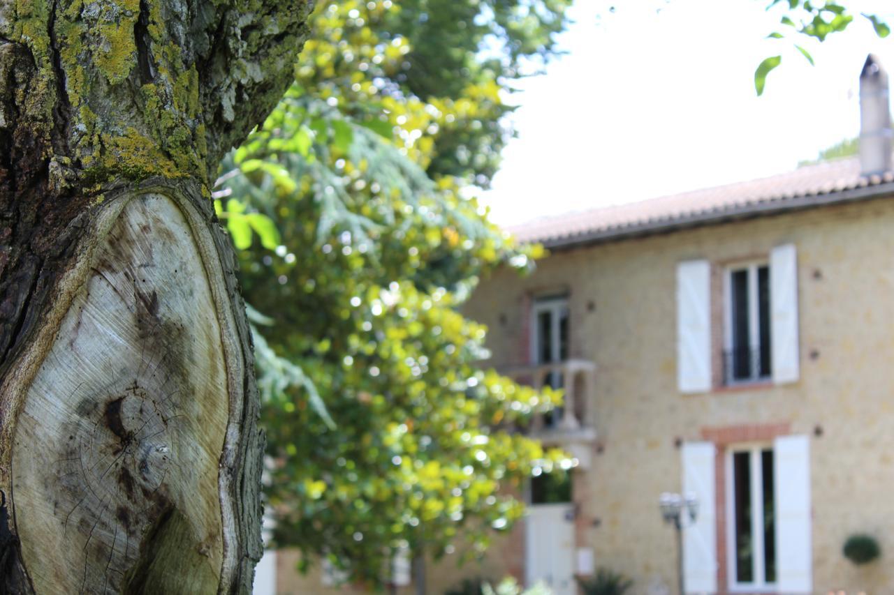 La Bastide De Negra Bed & Breakfast Montesquieu-Lauragais Dış mekan fotoğraf