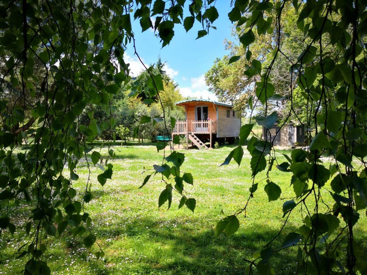 La Bastide De Negra Bed & Breakfast Montesquieu-Lauragais Dış mekan fotoğraf